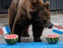 Buyan the bear predicts Croatia will beat France in World Cup final