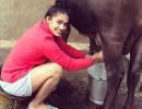 Wrestler Babita's new picture is breaking the internet