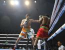 Vijender scores 12th successive professional win