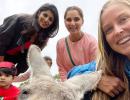 Sania, Izhaan And The Kangaroo