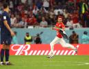 FIFA WC: Man invades pitch with Palestinian flag