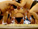 When Sumo Wrestlers Wrestle