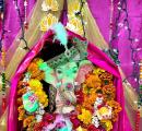 Lights, Flowers For Lord Ganesha