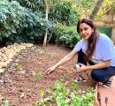 MumbaiU: Learn Astronomy, Drama, Gardening