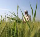 Want To Buy Farm Land?