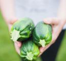 Zucchini For Amazing Health: 9 Advantages