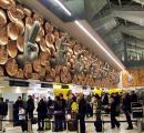 Rs 48 Crore Hydroponic Weed Seized At Delhi Airport