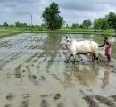 Slight Relief From Heatwave In Punjab, Haryana