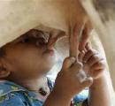 India Milk...
