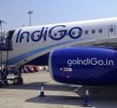 IndiGo Q1 profit skids 20%; sees 12% passenger growth