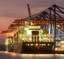 85% pvt participation in key ports by '30: Sonowal