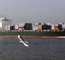 India, US Push To Futureproof Trade Ties