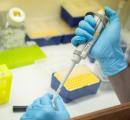 Delhi diagnostic players oppose genetic sample outflow ban