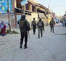 Security Forces Nab Terrorist Associate In Jammu And Kashmir