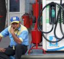 Is ethanol-blended petrol damaging your vehicle? Govt says...