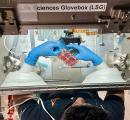 India's Space Manufacturing Boom