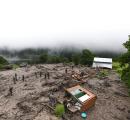 'Illegal felling of trees': SC takes note of landslides, floods