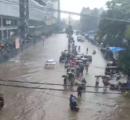 11 am News Flash – August 19, 2025