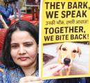 Key takeaways from SC's modified order on stray dogs