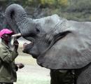 Caring for Kadiki