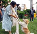 Victory For Pooches