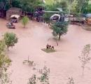 Building collapses moments after Army's daring rescue op in Pathankot