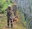 2 terrorists killed during infiltration bid in Bandipora