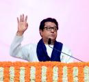 Raj Thackeray faces flak over remarks on Sardar Patel