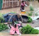 Patna, The Ganga And The Deluge