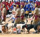 K'taka govt forms SIT to probe Dharmasthala mass grave claim