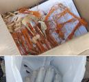 Explosives found at Bengaluru bus stand toilet; probe launched