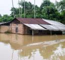 Rain havoc in Marathwada: 8 dead, houses, crops damaged