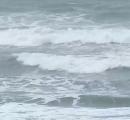 Three of a family drown, 4 missing in Maharashtra beach tragedy