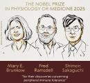 Trio shares Nobel Prize in medicine for findings in immune system