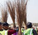 Sacked civic workers in MP vow to leave 'Sanatan Dharma'