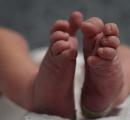 Indore hospital under fire as rats bite, kill two newborns
