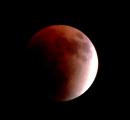 Thousands witness rare Blood Moon across India