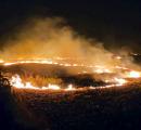 Stubble burning: Why can't some farmers be arrested, asks SC