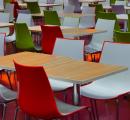 IIT-Kgp revokes notice segregating veg, non-veg students