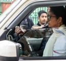 SIR hearing: Will Mamata argue in SC today?