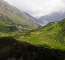 Delhi woman hides overnight in U'khand forest to escape rape bid