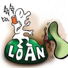 What Type Of Loan Could You Opt For?