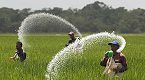 Fertiliser subsidy bill likely to double to Rs 3.4 trn in FY27