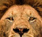 These wildlife pics will take your breath away