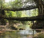 Across Nongriat's double decker root-bridge