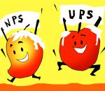 NPS vs UPS: Which is Best for YOU?