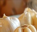 The Garlic Effect: 7 Great Things About Garlic