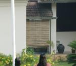 What Is A Good Daily Step Count? 7 Answers