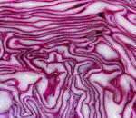 Recipe: Rajesh's Cabbage Szechuan Rice