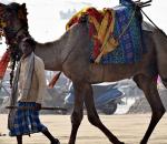 'Today's Traveller Is Driven More By Moods And Moments...'